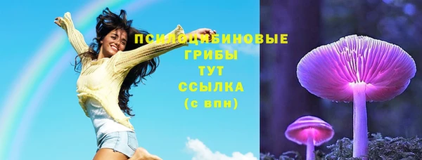 сатива Богородск