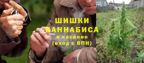 сатива Богородск