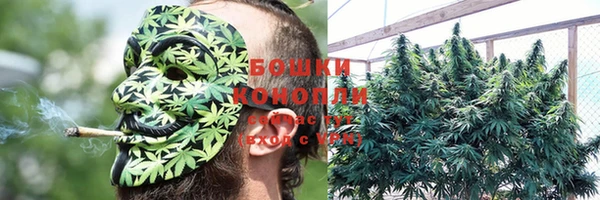 сатива Богородск