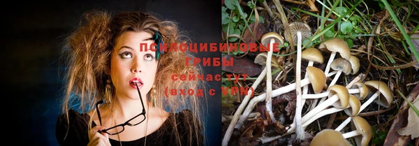 кокаин перу Богданович
