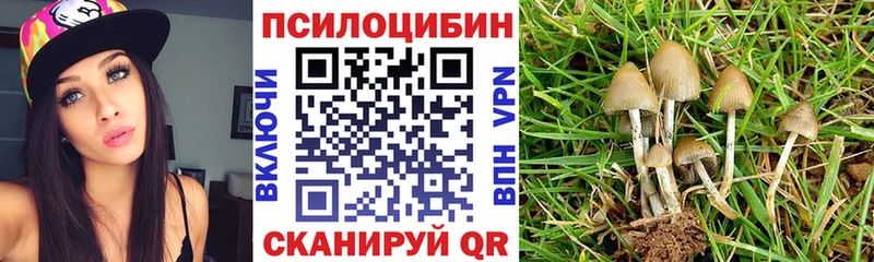 darknet наркотические препараты Пионерский Псилоцибиновые грибы Psilocybe